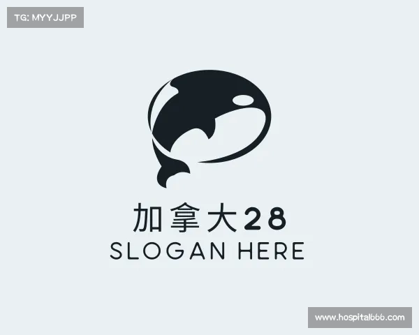 介绍加拿大28